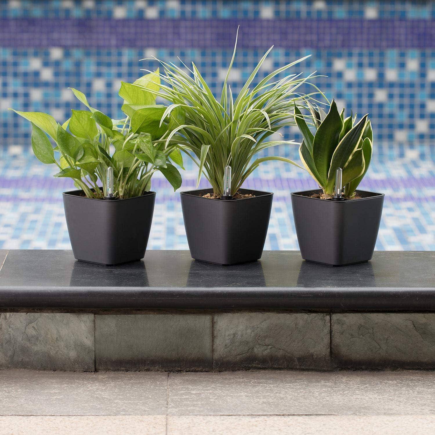 Blumentopf 13cm Plastik eckig 3er Set selbstwässernd Schwarz
