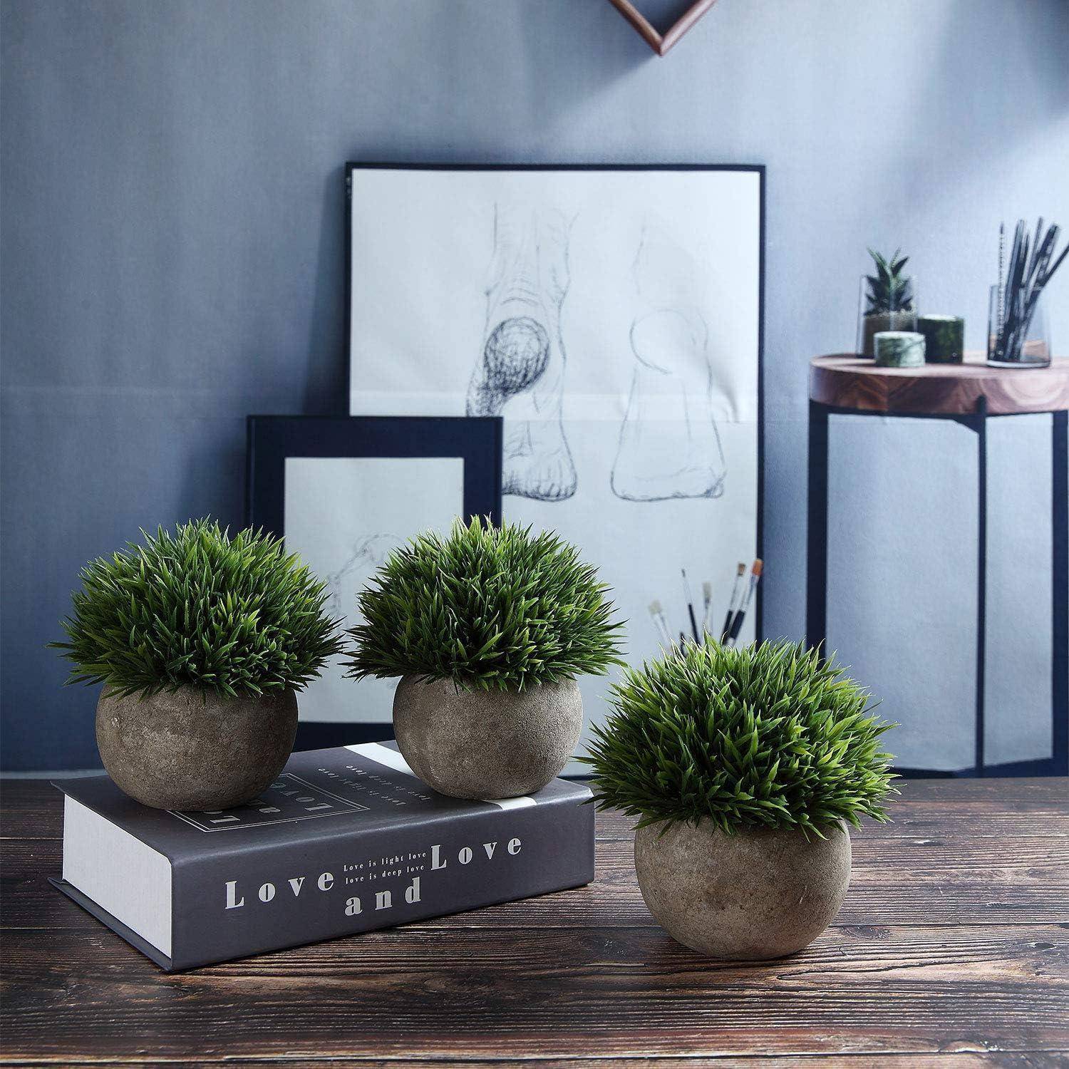 Drei kugelförmige Topfpflanzen auf einem Holztisch, eine davon ruht auf einem Buch mit dem Titel „Liebe und Liebe und
