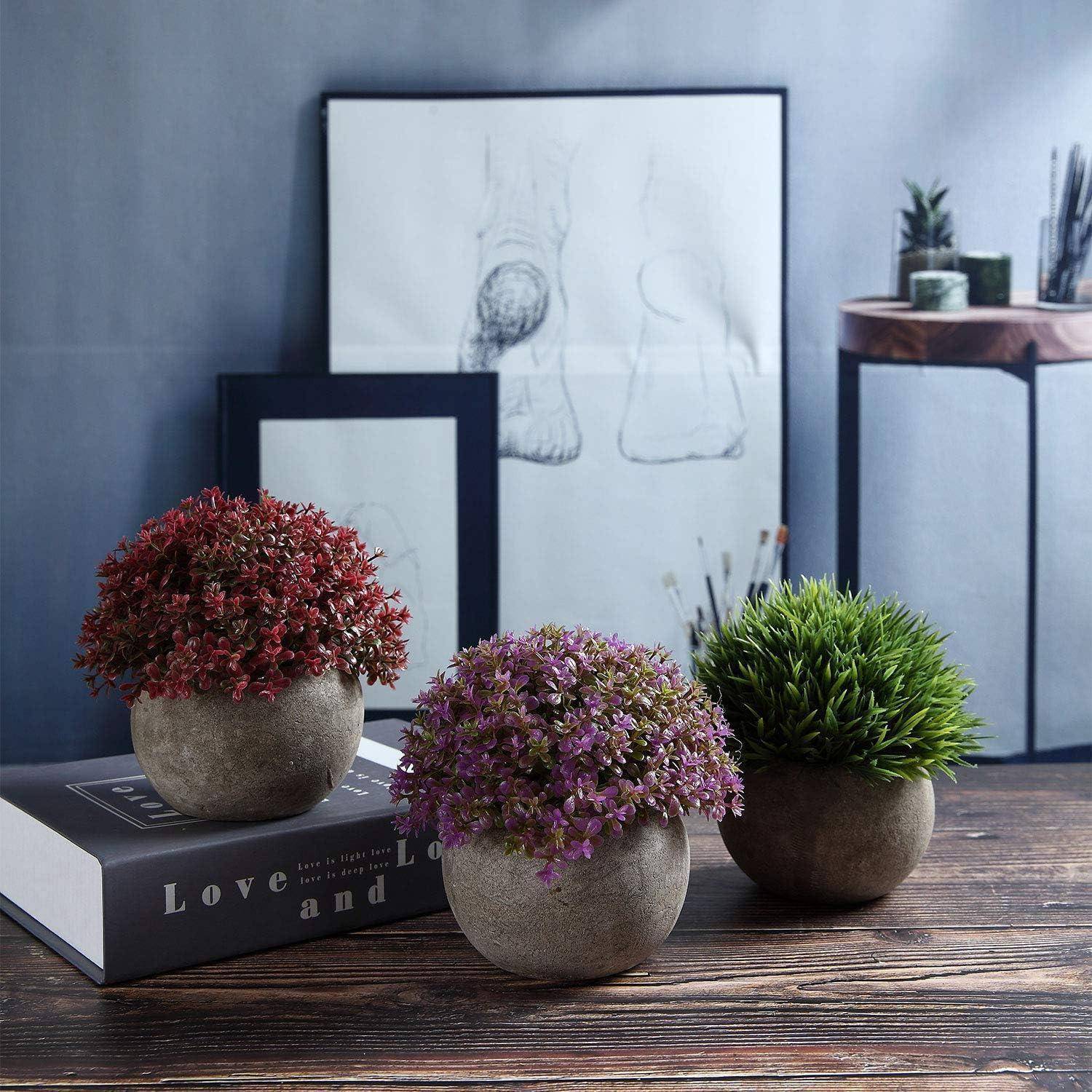 Drei Topfpflanzen mit rosa und grünem Laub stehen auf einem Coffee-Table-Buch in einem modernen Raum. Gerahmte Skizzen im Hintergrund verleihen dem Raum eine künstlerische Note.