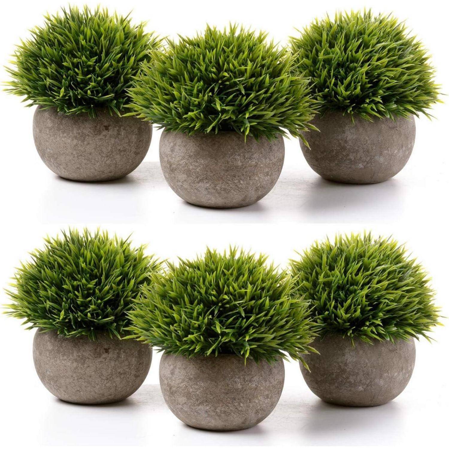 Fünf kleine runde Pflanzgefäße mit üppigem, grünem künstlichem Gras, in sauberen Reihen auf einem weißen Hintergrund angeordnet.
