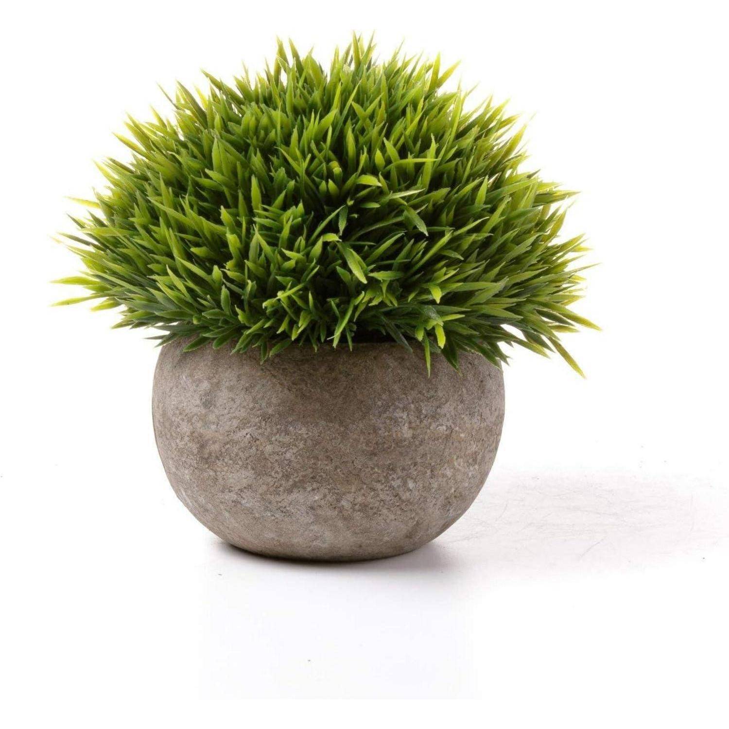 Ein kleiner, runder, grauer Steintopf enthält einen dichten Strauß lebendiger grüner, grasartiger Pflanzen und schafft ein einfaches, natürliches Dekorelement.