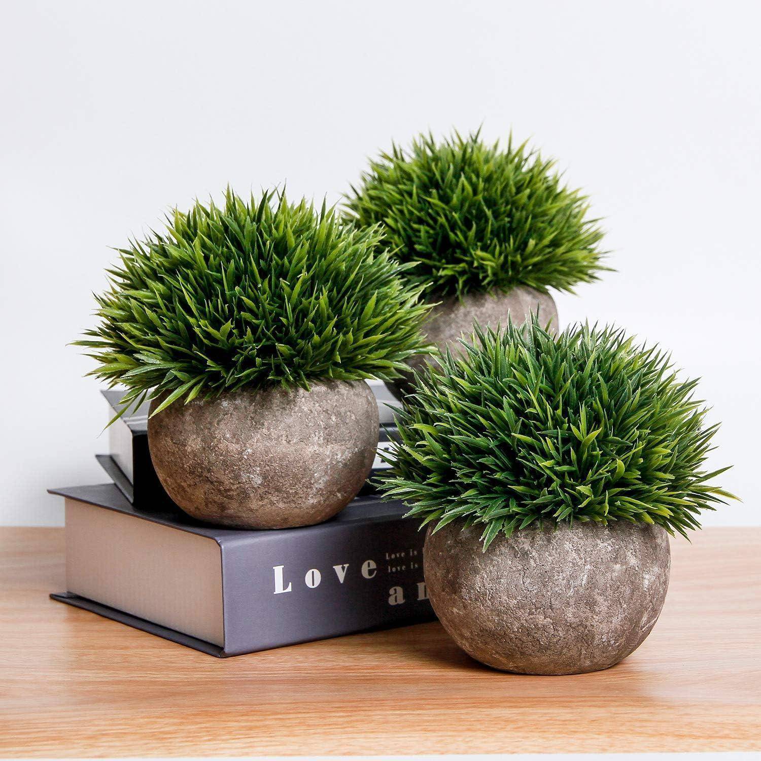 Drei runde künstliche Grünpflanzen in Steintöpfen sind auf einer Holzoberfläche aufgestellt; eine davon steht auf einem Buch mit dem Titel ‚Liebe'.