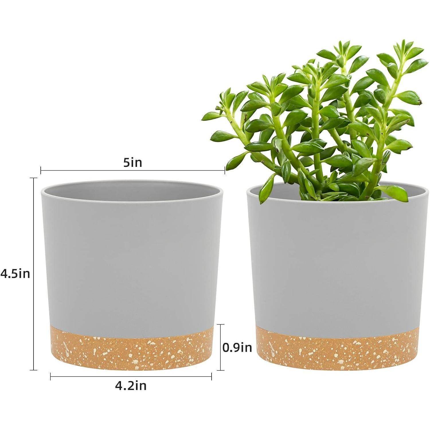 Zwei graue Töpfe mit Korkbasis. Einer ist leer, während der andere eine kleine grüne Pflanze enthält. Maße: 4,5 Zoll x 4,2 Zoll, Pflanzenhöhe: 5 Zoll.