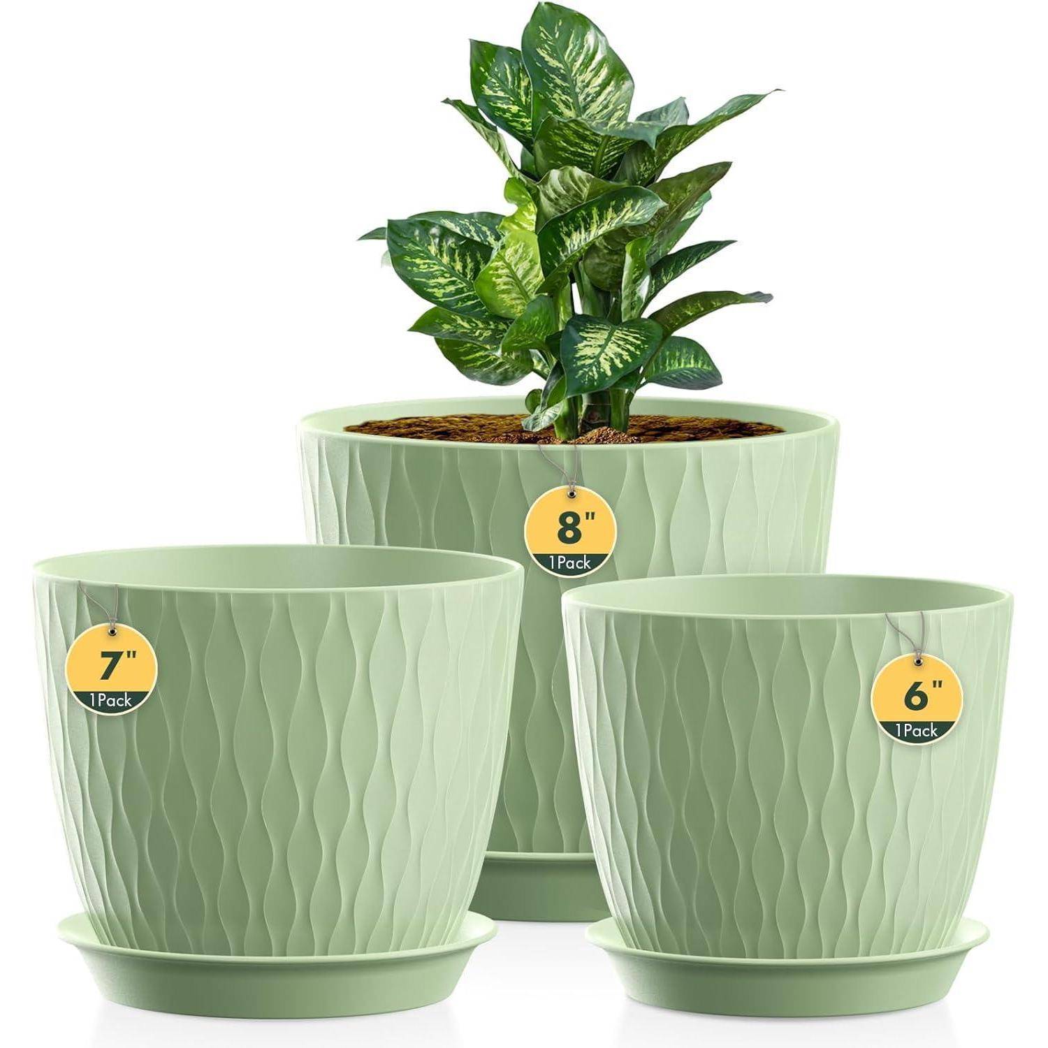 Drei grüne, strukturierte Pflanzentöpfe mit Untersetzer; beschriftet mit 7-Zoll, 8-Zoll mit einer Pflanze und 6-Zoll.