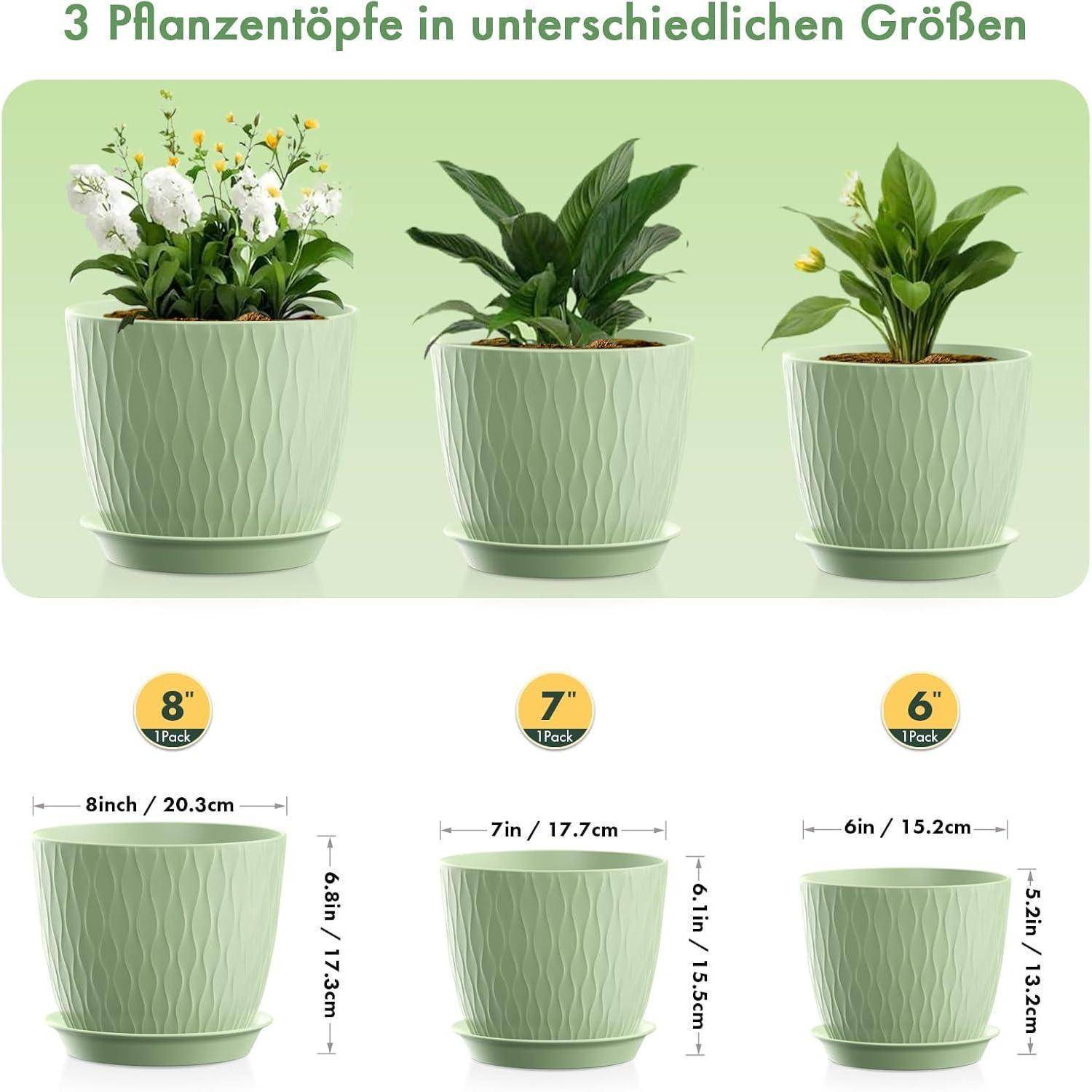 3 Pflanzentöpfe in unterschiedlichen Größen: 8 Zoll (20,3 cm), 7 Zoll (17,7 cm) und 6 Zoll (15,2 cm)