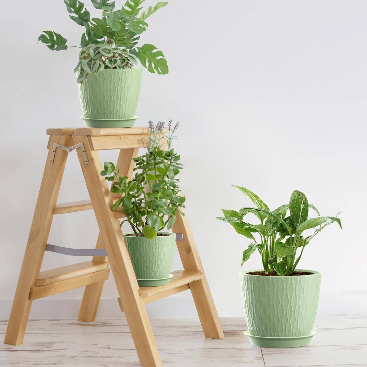 Drei Topfpflanzen auf einer Holzleiter vor einer hellen Wand, die Indoor-Gärtnern und Pflanzendekoration veranschaulicht.