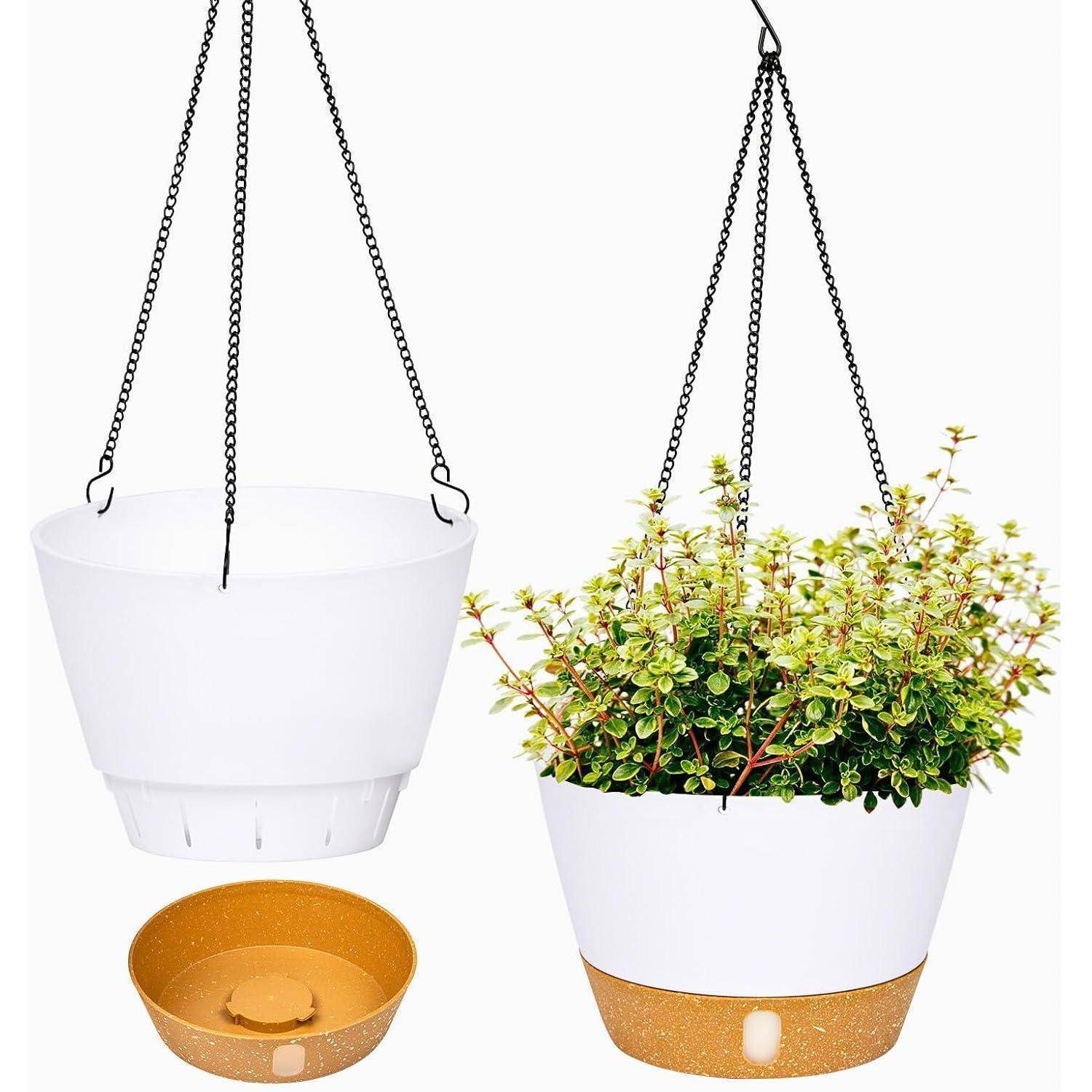 Weißer hängender Blumentopf mit Ketten, der zwei Ansichten zeigt: eine leere und eine mit üppigem grünem Blattwerk. Die beige-farbene Basis ist abnehmbar.