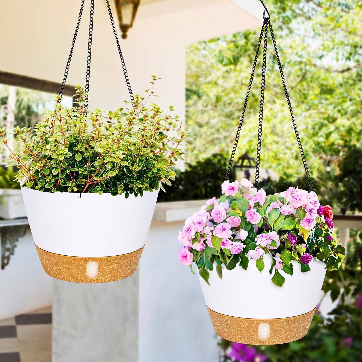 Zwei hängende Pflanzgefäße unter einem Terrassendach, eines mit grünem Blattwerk und das andere mit rosa Blüten, vor einem unscharfen Hintergrund im Freien.