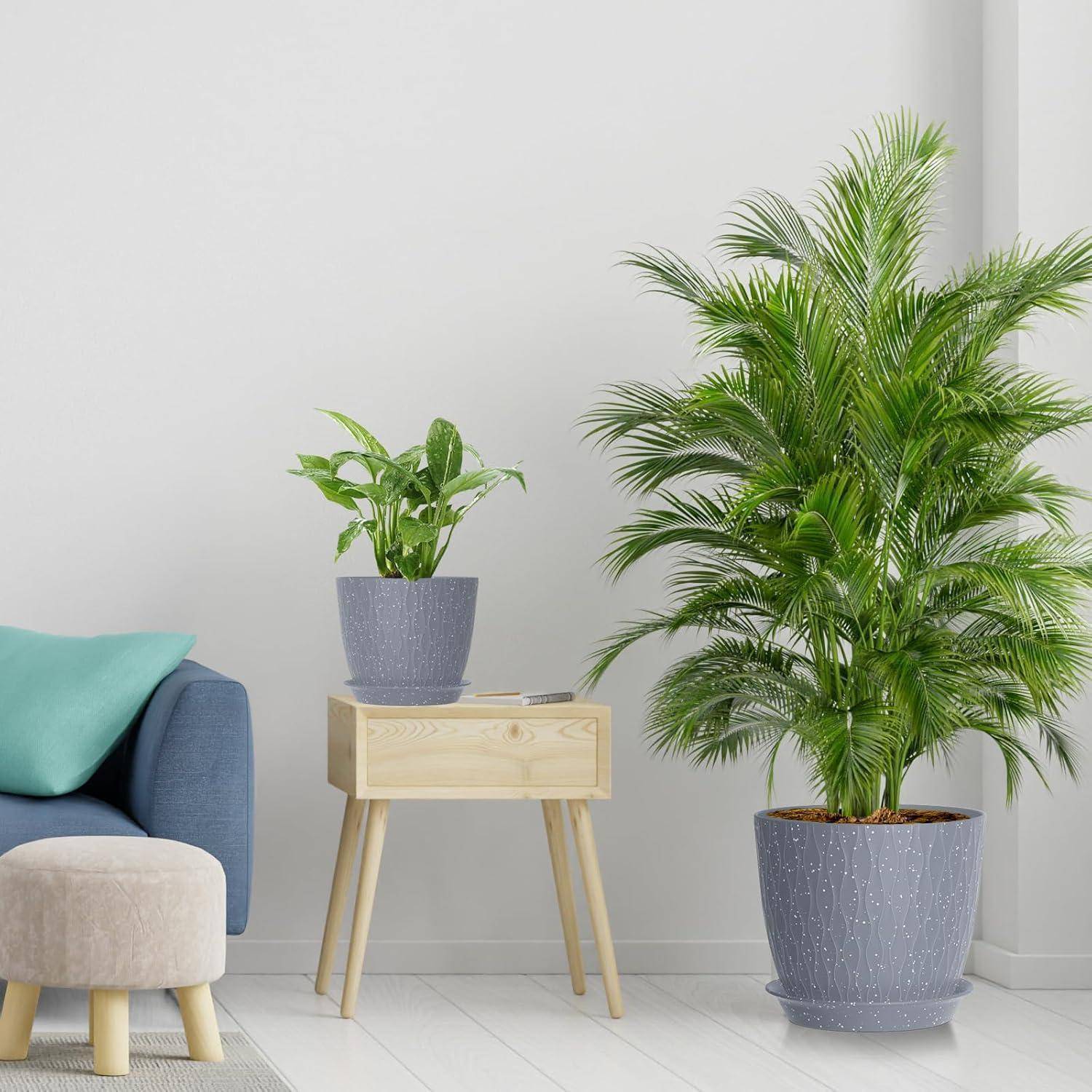 Ein gemütliches Wohnzimmer mit einem blauen Sofa, einem Holzseitentisch und zwei grünen Topfpflanzen vor einer hellgrauen Wand.