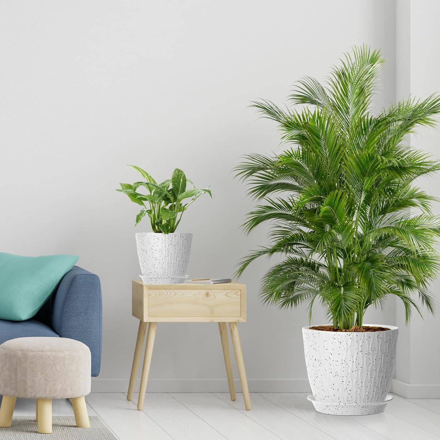 Ein gemütliches Wohnzimmer zeigt eine große Topfpalme und eine kleine Pflanze auf einem Holztisch. Eine Couch und ein Kissen sorgen für zusätzlichen Komfort im Raum.