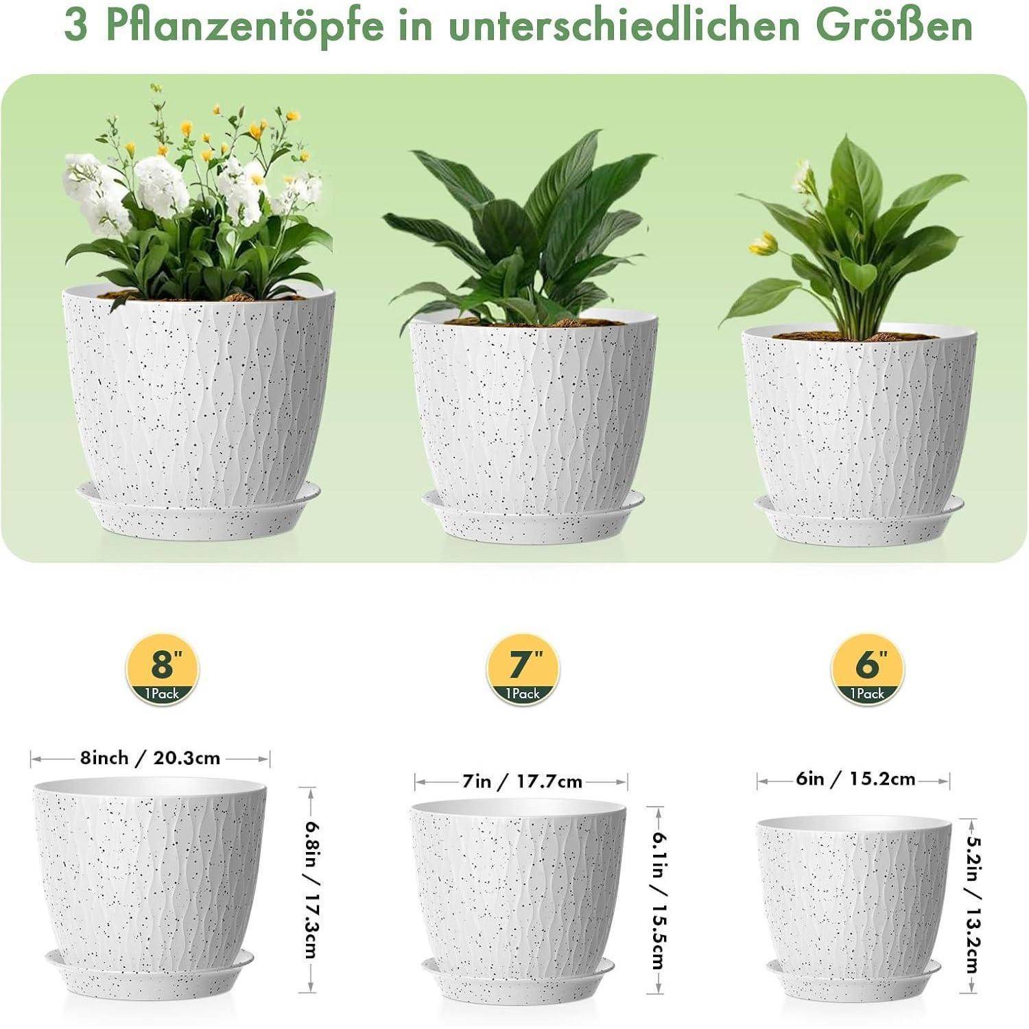 3 Blumentöpfe in verschiedenen Größen' zeigt drei weiße Töpfe mit Pflanzen: 8 Zoll (20,3 cm), 7 Zoll (17,8 cm), 6 Zoll (15,2 cm).