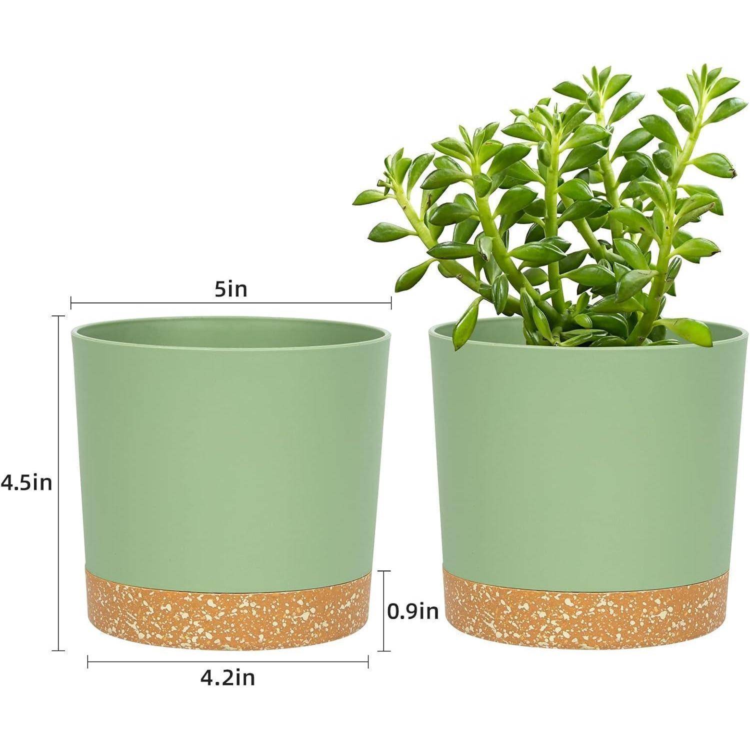 Zwei grüne Töpfe mit Korkboden; ein Topf ist 5 Zoll hoch mit einer Pflanze, der andere ist 4,5 Zoll hoch. Die Abmessungen sind gekennzeichnet.