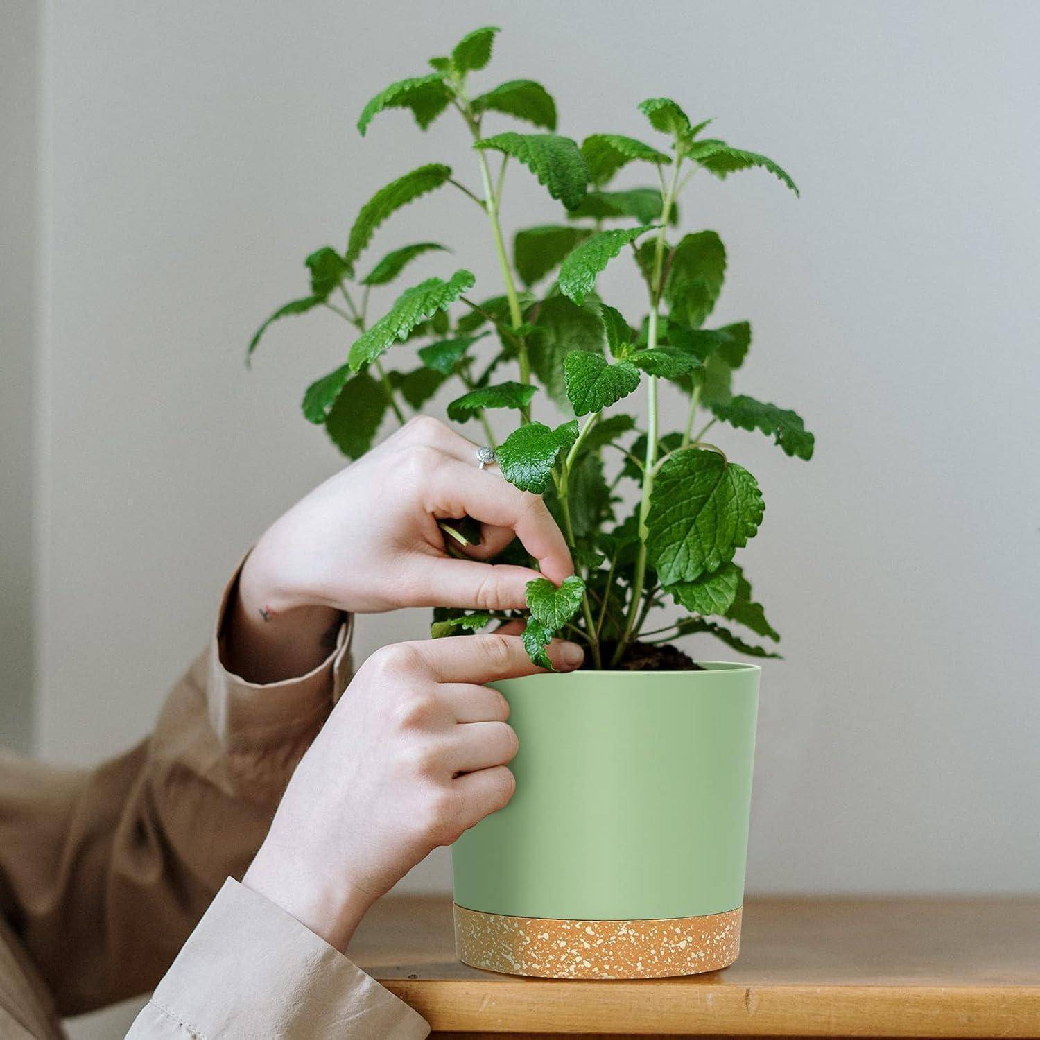 Eine Person kümmert sich um eine Minzpflanze in einem grünen Topf und pflückt behutsam ein Blatt. Die Szene deutet auf Pflege und Fürsorge für Zimmerpflanzen hin.