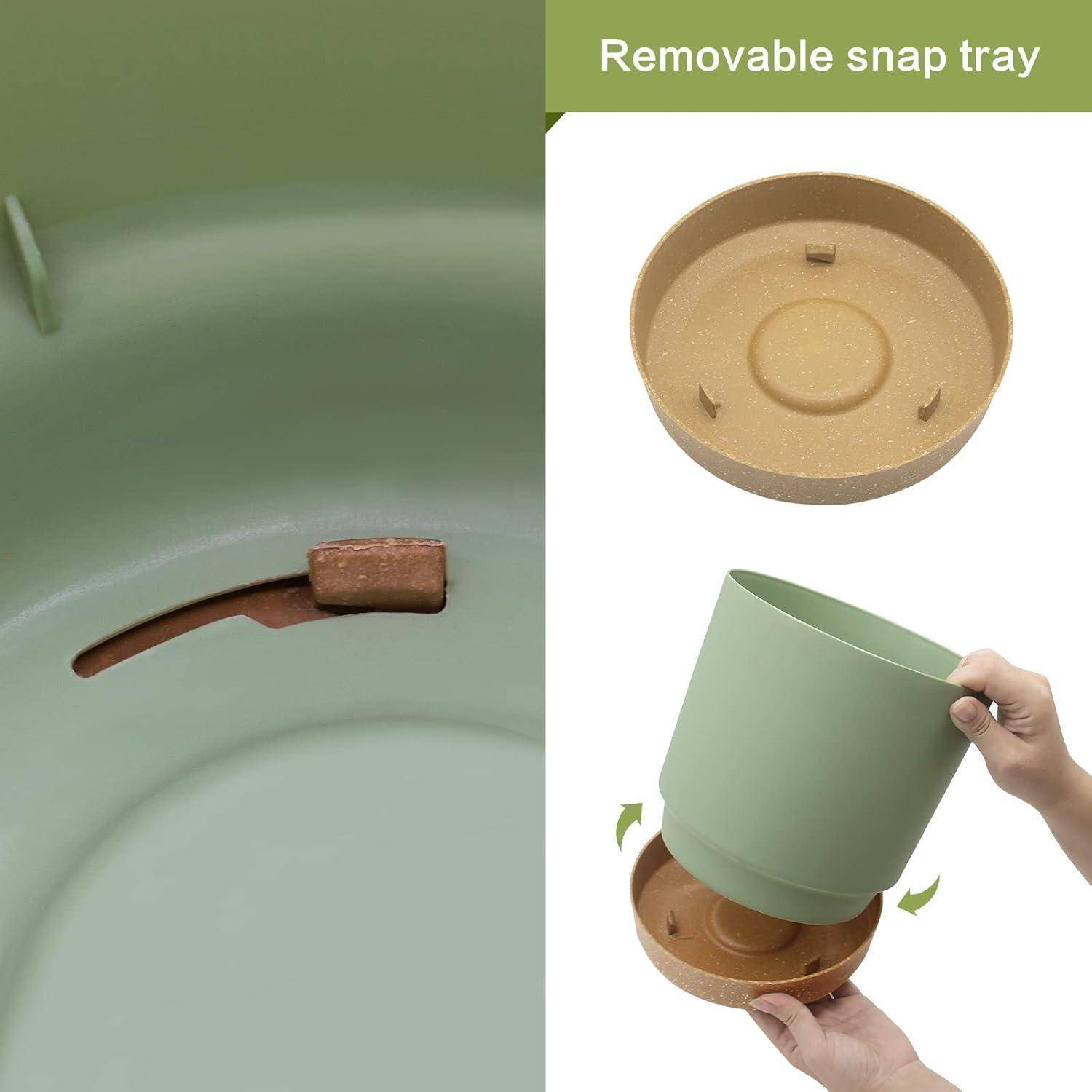 Herausnehmbares Schnapp-Tablett