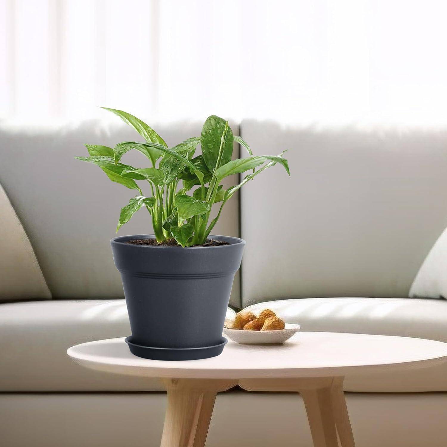 Eine kleine grüne Topfpflanze auf einem runden weißen Couchtisch, in der Nähe einer Schüssel mit Snacks. Der Hintergrund zeigt ein Sofa und einen neutralen Vorhang.