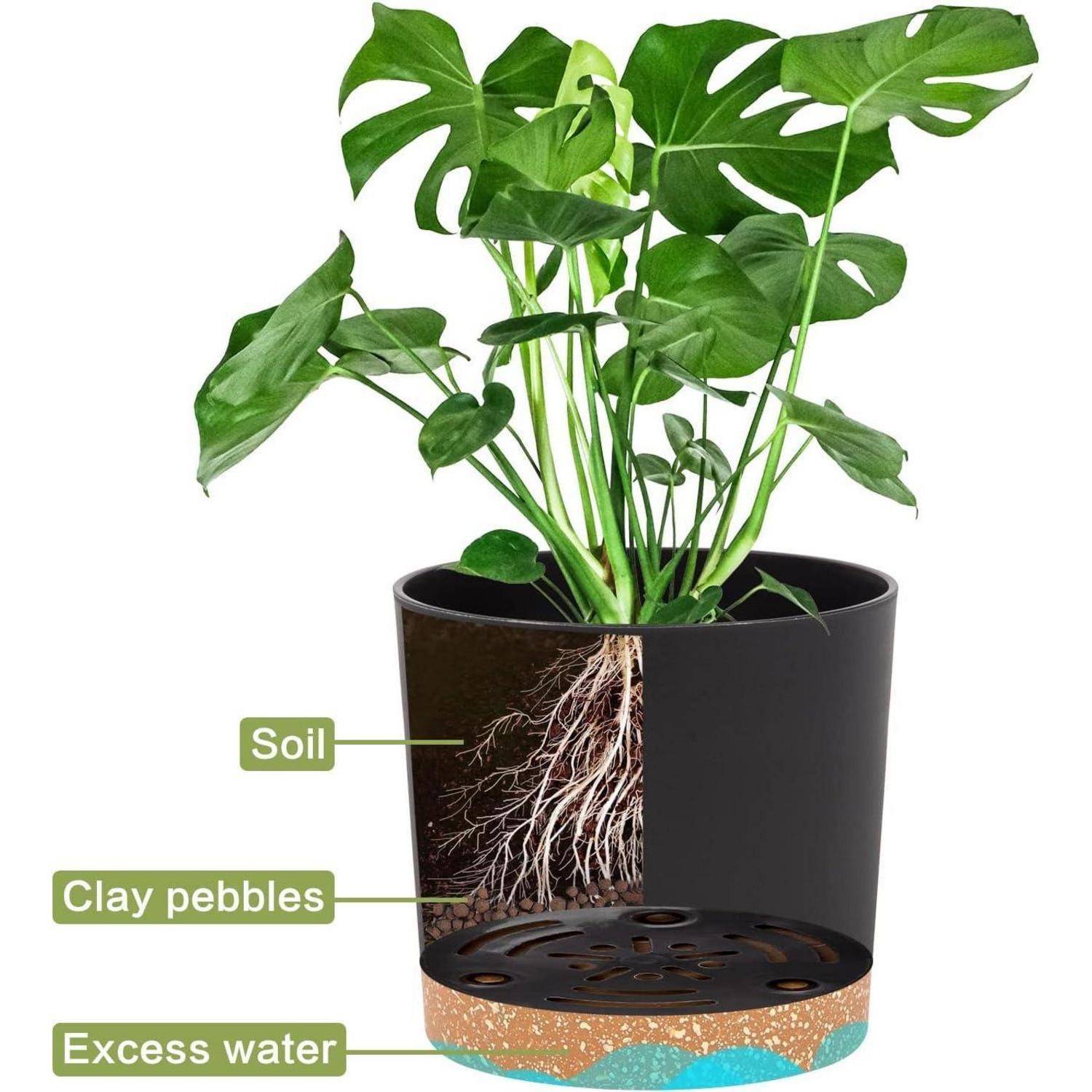 Pflanzendiagramm mit Schichten in einem Topf: Erde, Tonkugeln und Wasserreservoir für Überschusswasser unten. Wurzeln sichtbar in der Erdschicht.