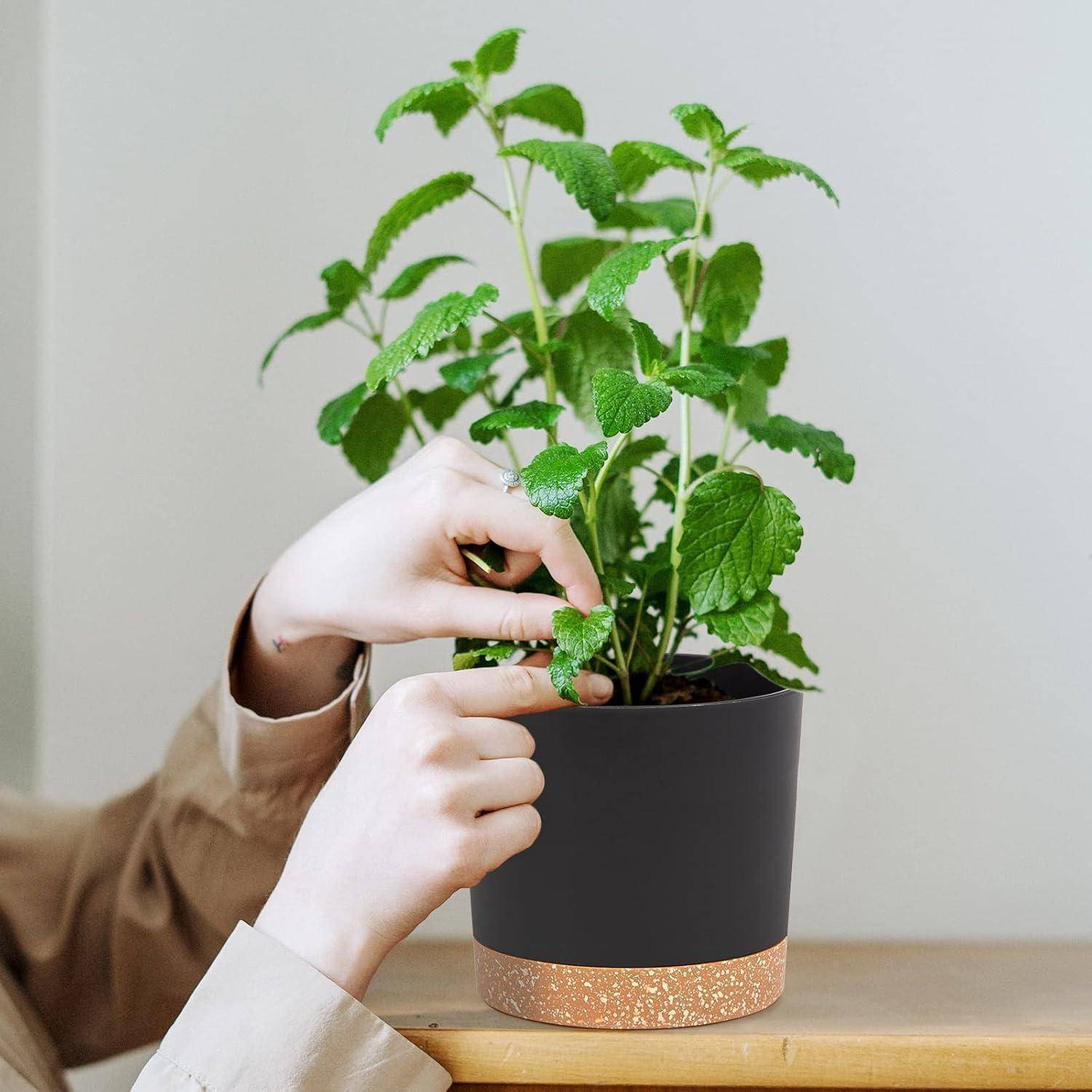 Eine Person betreut eine Minzpflanze im Topf und berührt behutsam ihre Blätter. Die Pflanze wirkt gesund und vital und zeugt von sorgfältiger Pflege und Aufmerksamkeit.