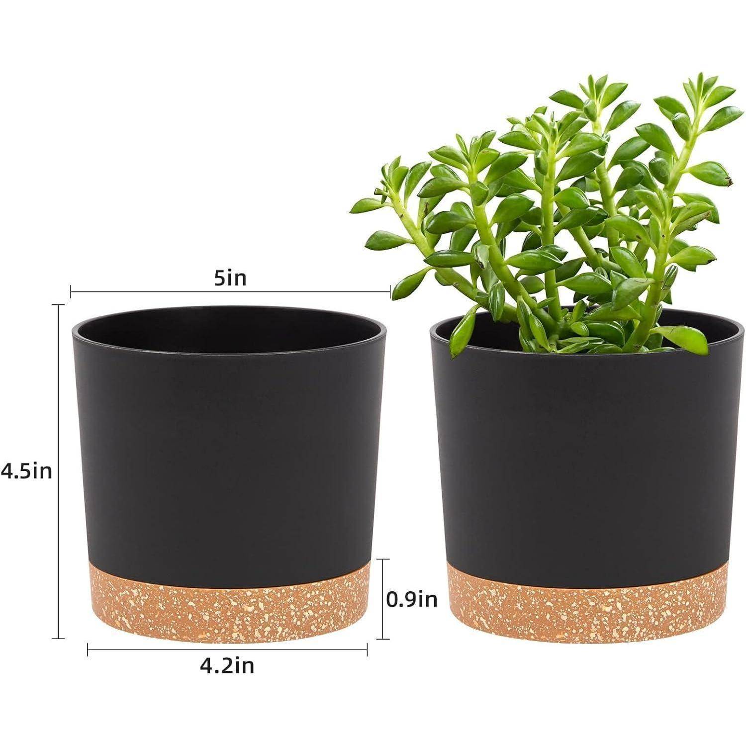 Zwei schwarze Töpfe mit goldenen Böden, einer davon mit einer grünen Sukkulente bestückt. Abmessungen: 4,5 Zoll hoch, 4,2 Zoll breit. Abstand: 0,9 Zoll.