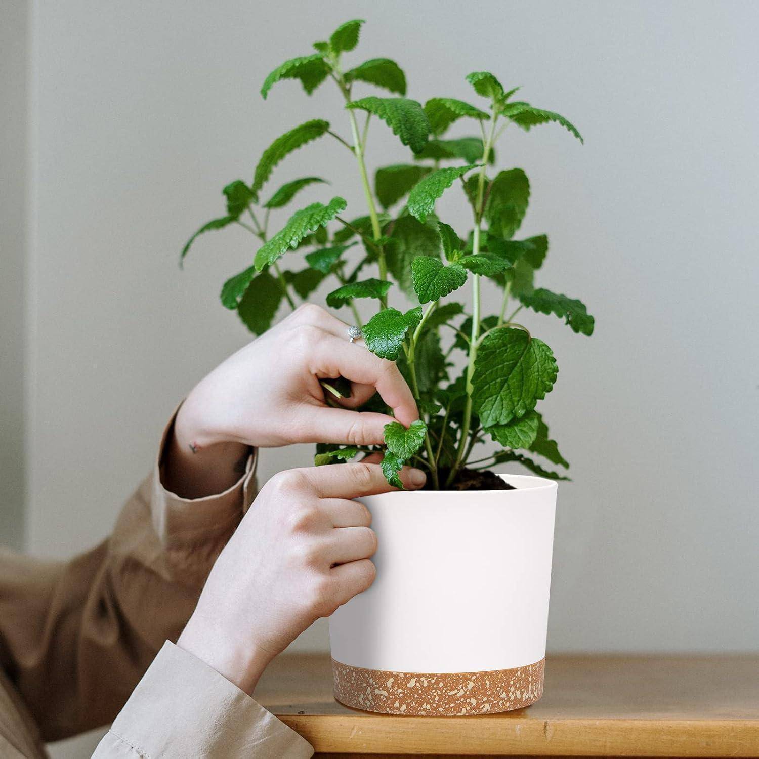 Blumentopf 2er 12,7cm Entwässerung abnehmbarer Boden Weiß 12.7cm