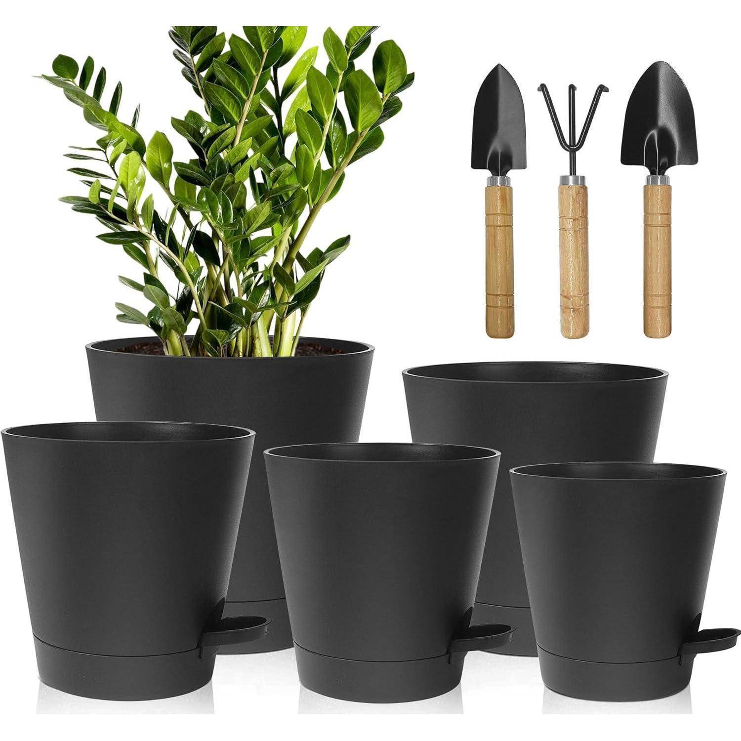 Blumentopf Kunststoff Selbstbewässerung Untersetzer Kaktus Schwarz