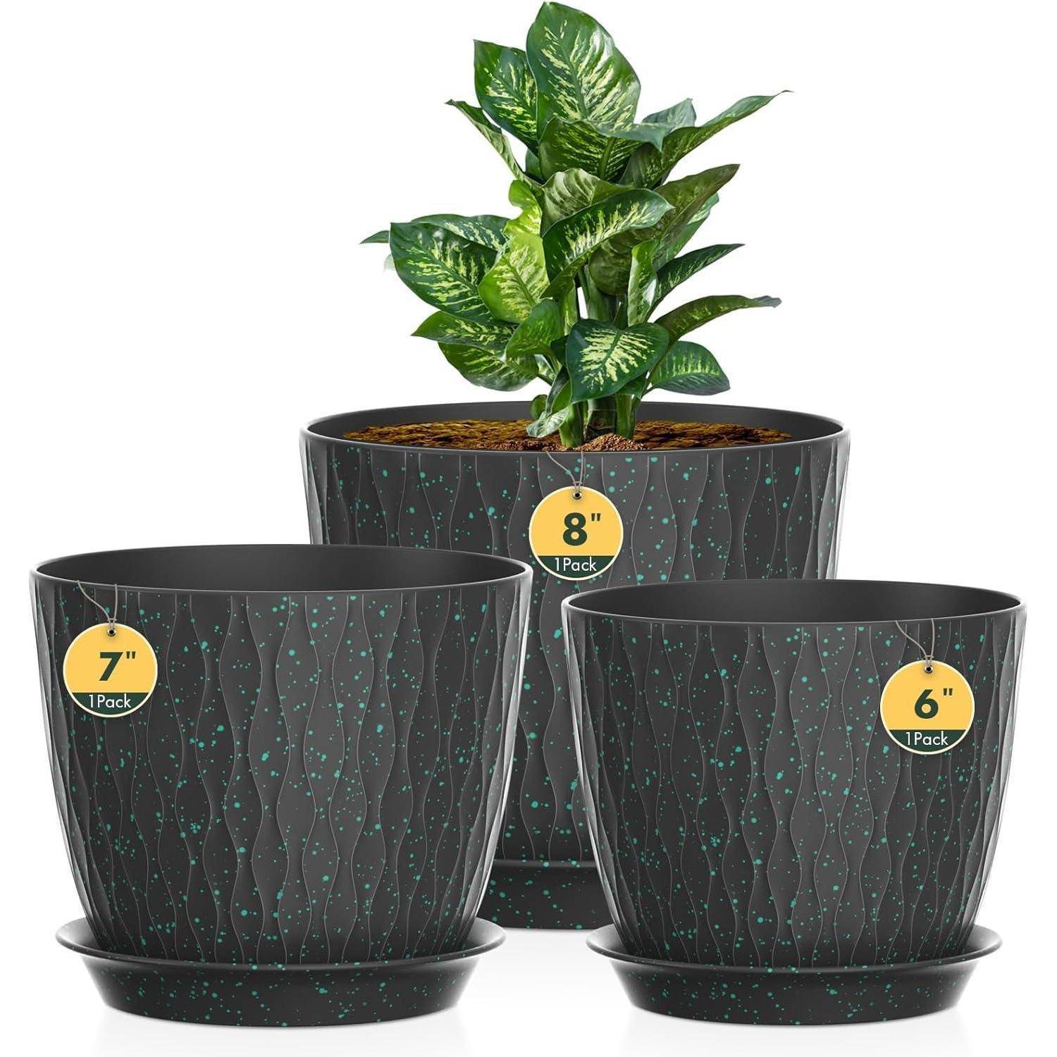 Drei schwarze Pflanzentöpfe mit grünen Sprenkeln, beschriftet mit „6