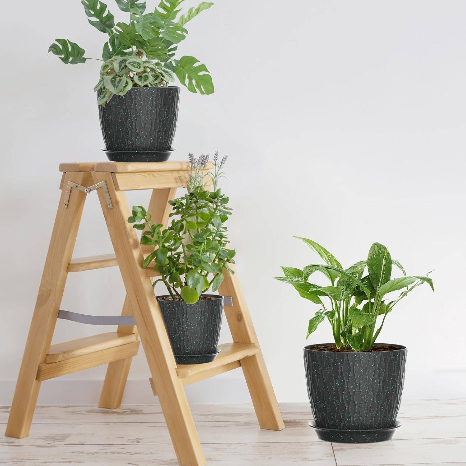 Drei Topfpflanzen sind auf und neben einer Holzleiter vor einem schlichten Hintergrund angeordnet und zeigen ein Einrichtungsarrangement.