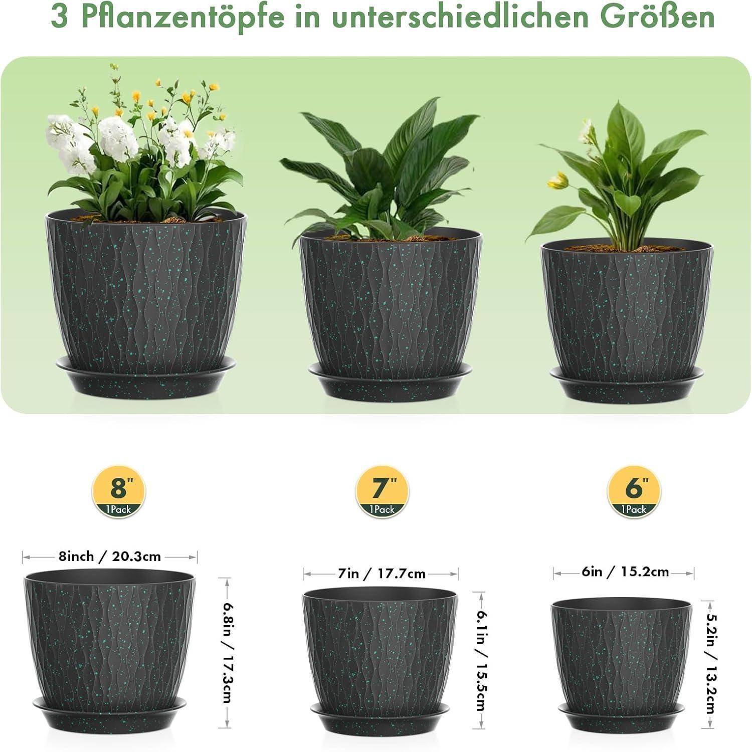 Drei Pflanzentöpfe in verschiedenen Größen: 8 Zoll, 7 Zoll und 6 Zoll Durchmesser. Jeder Topf enthält eine andere Pflanze.