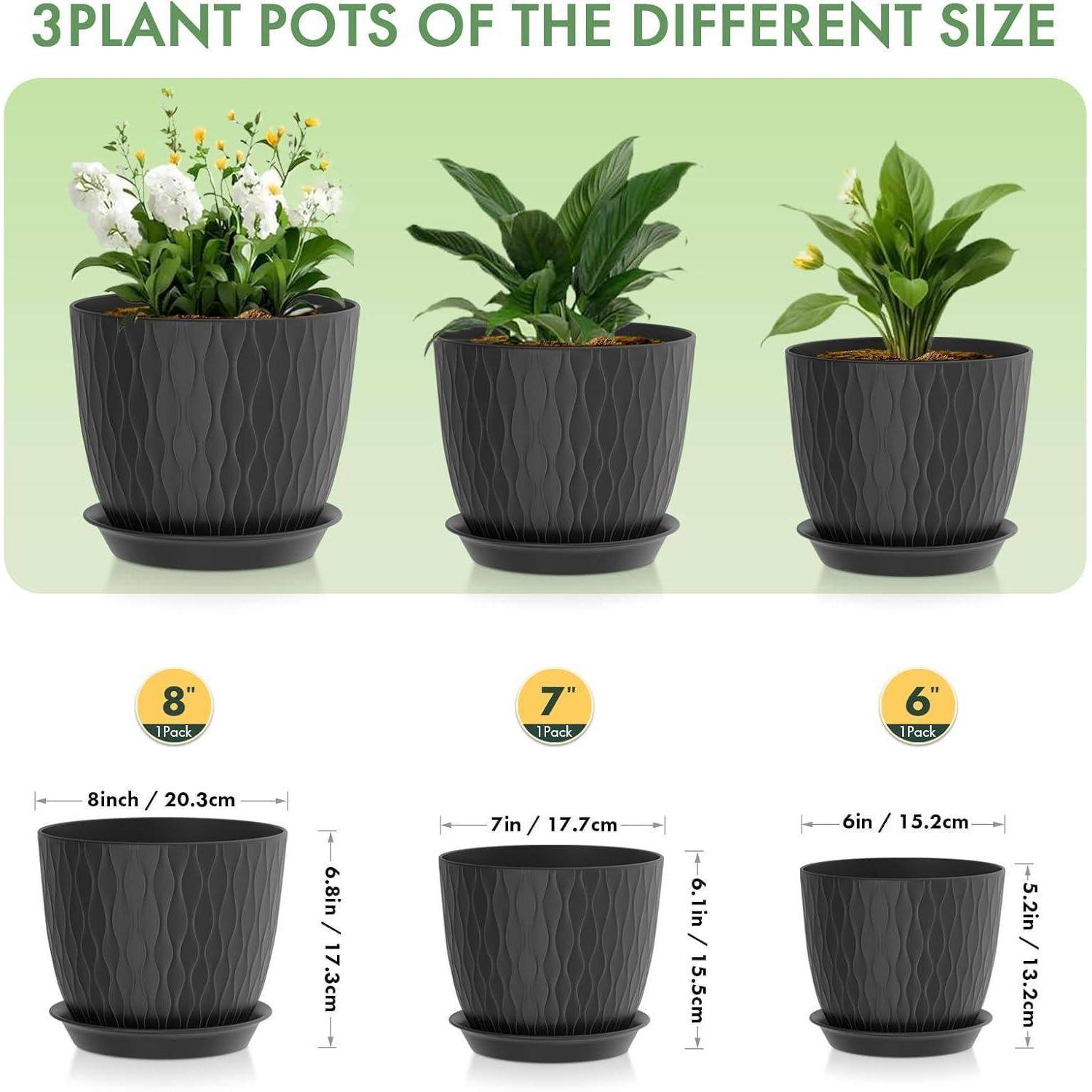 3 BLUMENTÖPFE IN UNTERSCHIEDLICHEN GRÖSSEN': Drei schwarze strukturierte Blumentöpfe enthalten weiß, dunkelgrün und gelb blühende Pflanzen. Die Größen betragen 8