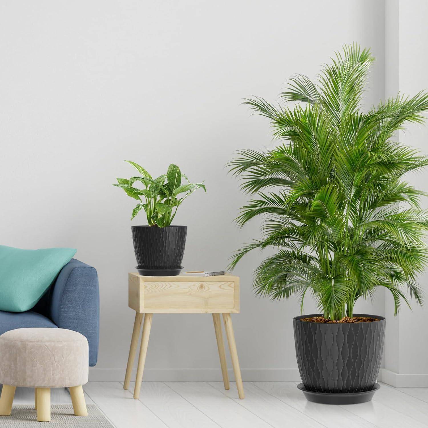 Ein gemütliches Zimmer zeigt ein blaues Sofa mit einem grünen Kissen, einen kleinen Holztisch und zwei Palmen in Töpfen in unterschiedlichen Größen.