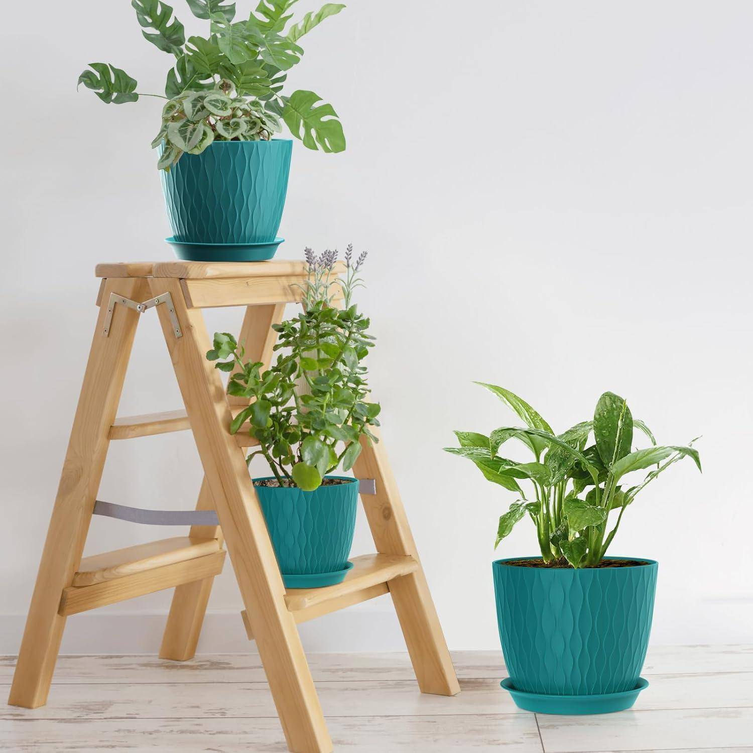 Drei Topfpflanzen mit grünen Blättern auf einer Holzleiter vor einem einfarbigen Hintergrund.