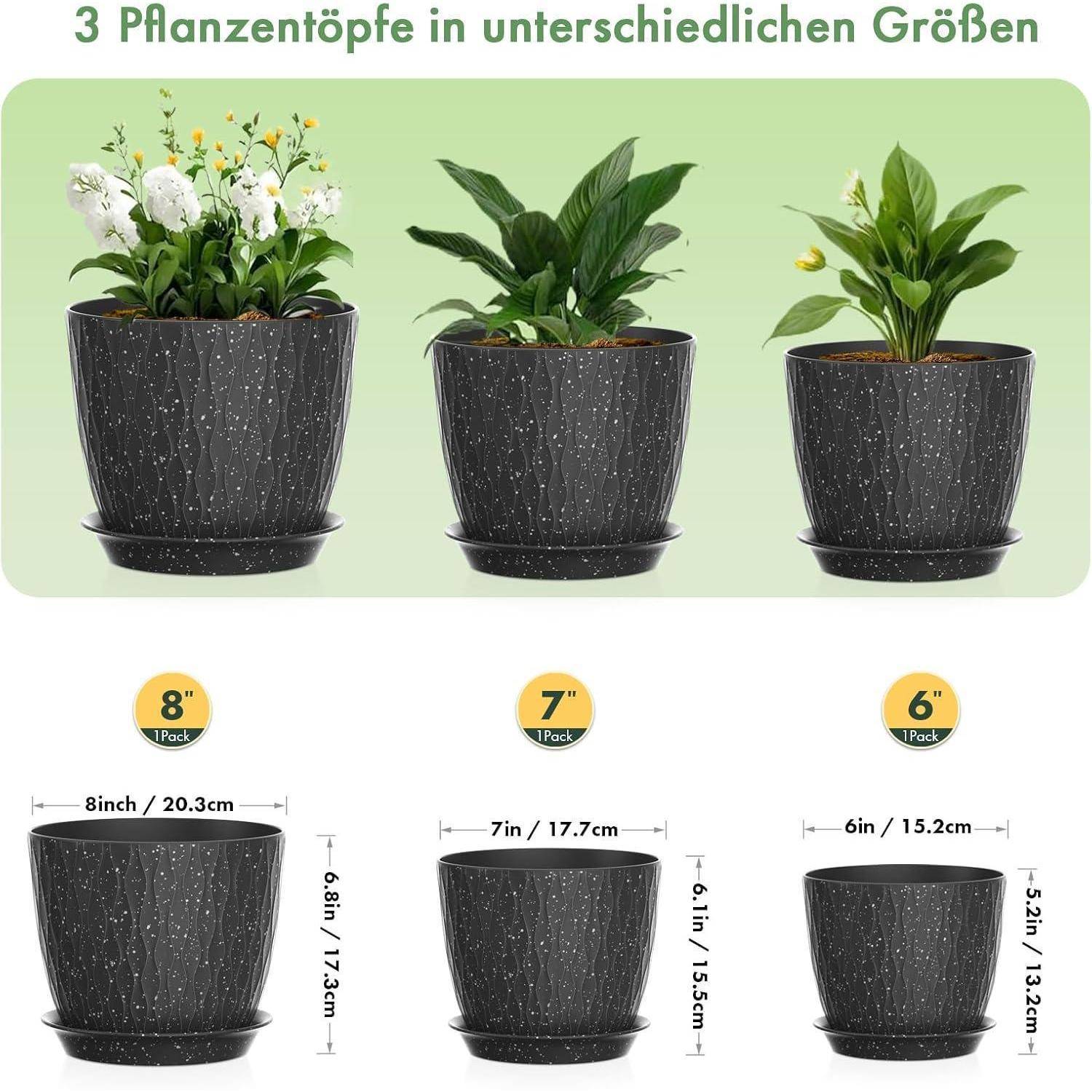 Drei schwarze gesprenkelte Pflanzentöpfe in unterschiedlichen Größen: 8 Zoll, 7 Zoll und 6 Zoll, jeweils mit verschiedenen Pflanzen.