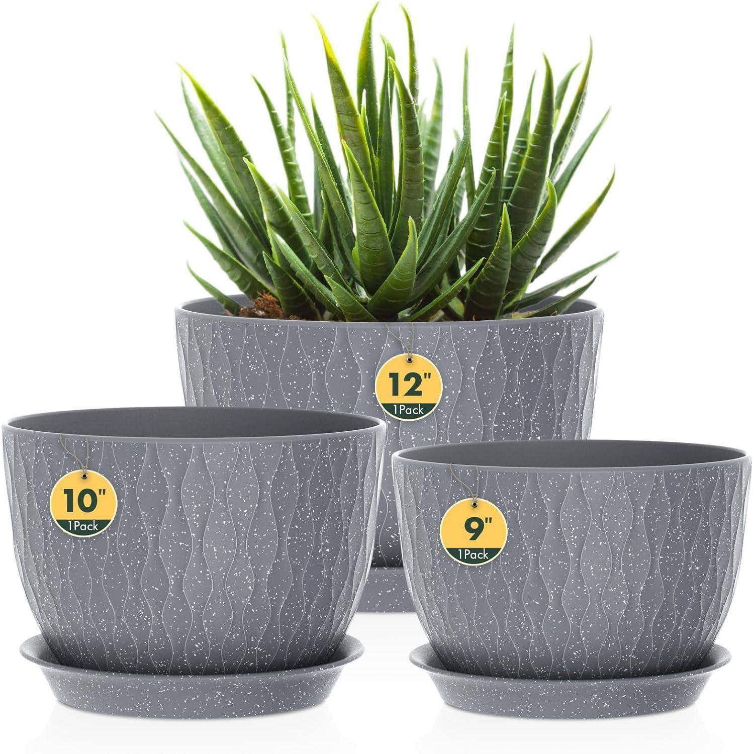 Drei graue Töpfe in verschiedenen Größen (23 cm, 25 cm und 30 cm) mit Untertellern; der größte enthält eine grüne Pflanze mit stacheligen Blättern.