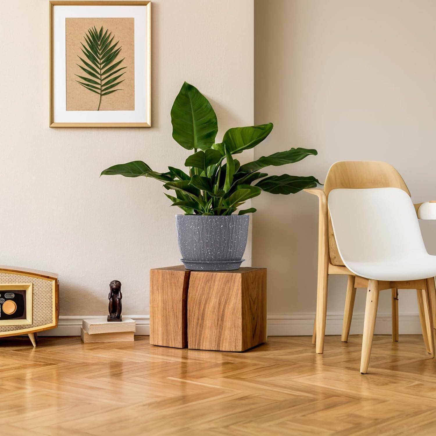 Eine moderne Wohnzimmerecke mit einer großen grünen Pflanze auf einem Holzhocker, einem gerahmten Blattdruck an der Wand und einem Vintage-Radio auf dem Boden.
