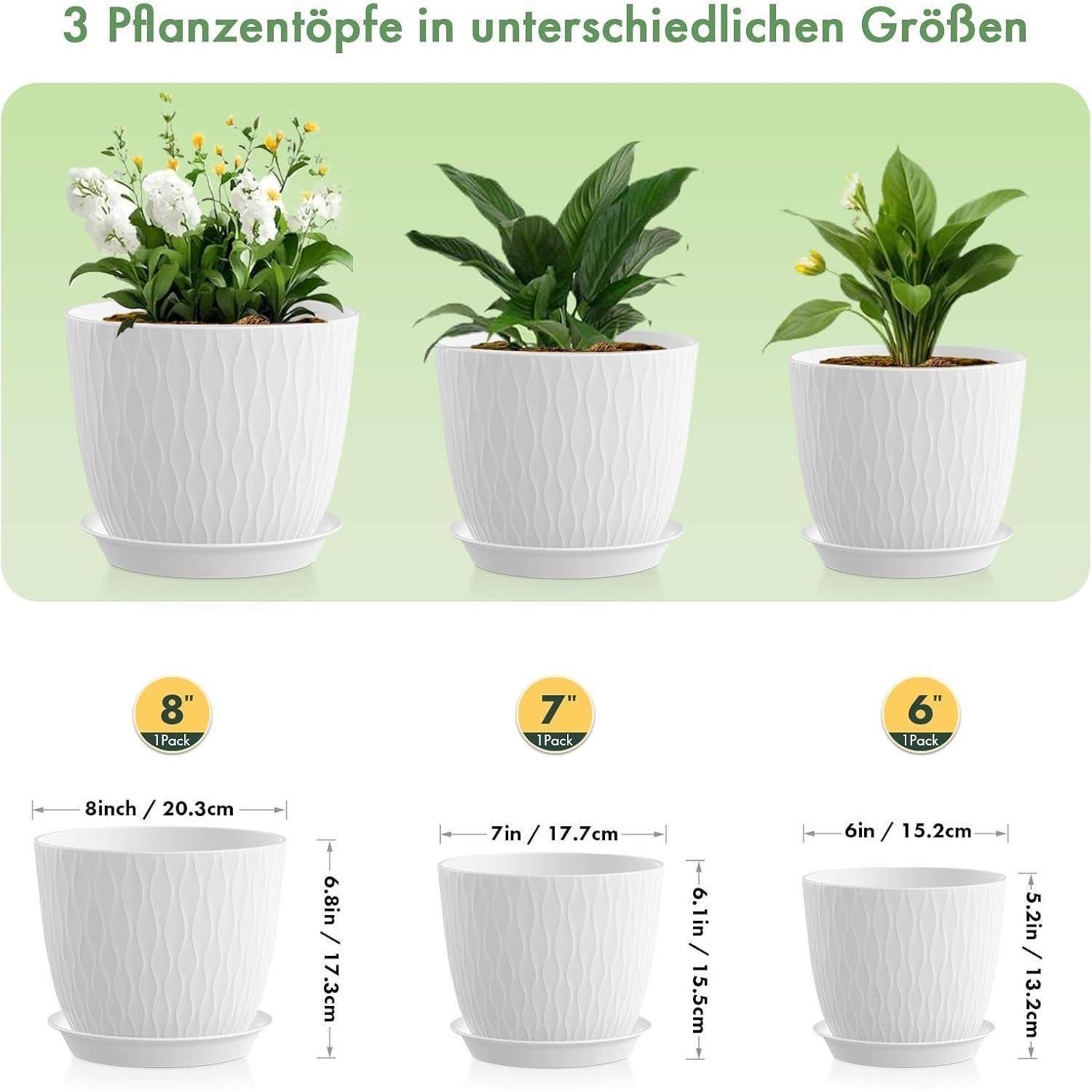 Drei weiße Pflanzentöpfe mit Blumen und Grünpflanzen in verschiedenen Größen: 8-Zoll, 7-Zoll und 6-Zoll, mit Abmessungen beschriftet.