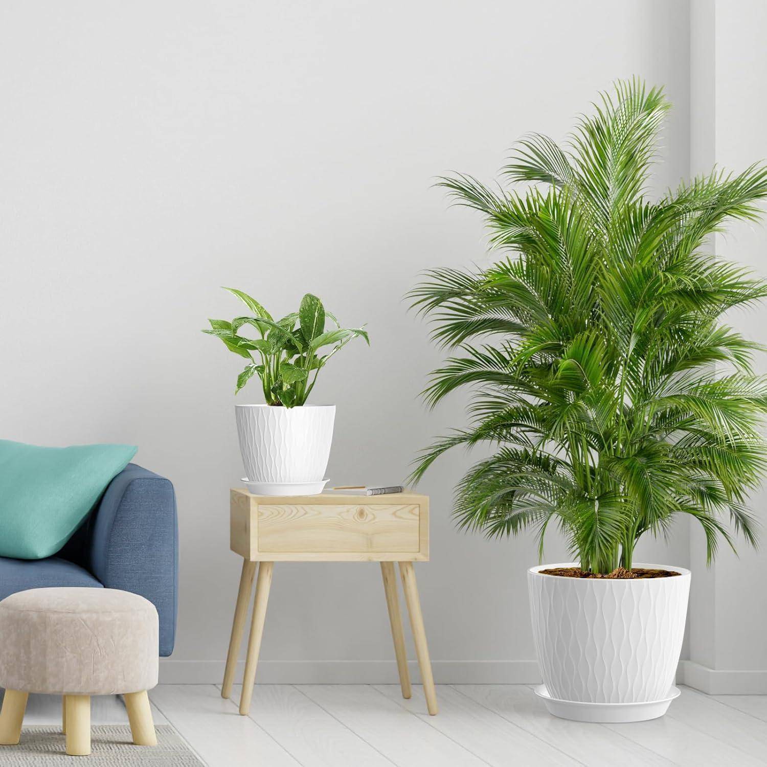 Ein moderner Wohnraum mit einer großen Palme und einer kleineren Topfpflanze neben einem blauen und beigen Sofa. Der Raum hat ein minimalistisches Design.