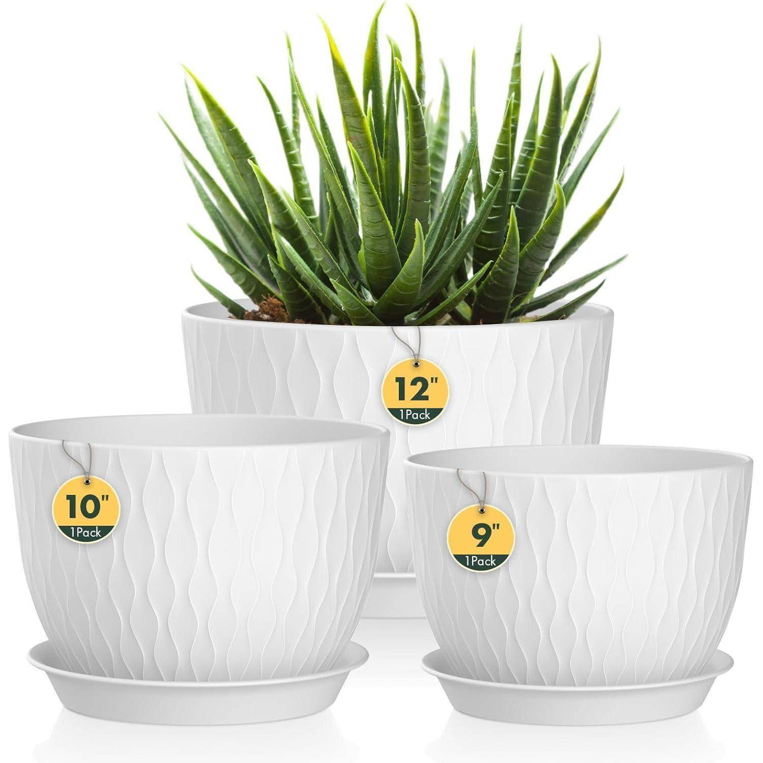 Drei weiße Pflanzgefäße mit Untersetzen, beschriftet mit '10