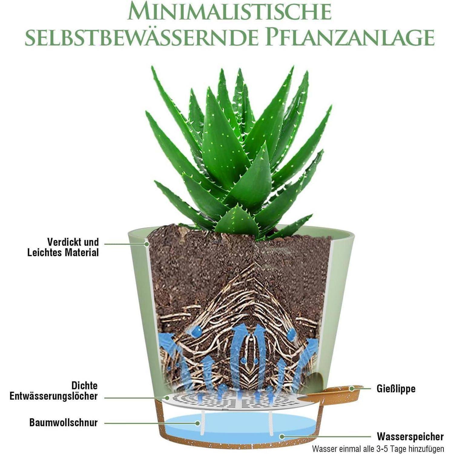 Querschnitt eines minimalistischen Selbstbewässerungstopfes mit Aloe Vera. Beschriftungen zeigen Schichten: dichter Filz, Ablauflöcher, Ausguss und Wasserreservoir.