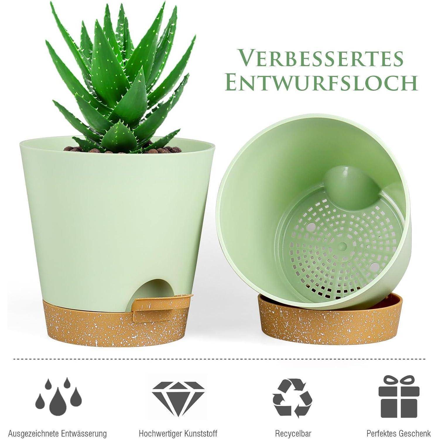 Aloe-Vera-Pflanze in einem dekorativen Topf mit einer verbesserten Ablauföffnung darunter; Symbole unten zeigen Drainage, Haltbarkeit, Recyclingfähigkeit und Geschenkidee.