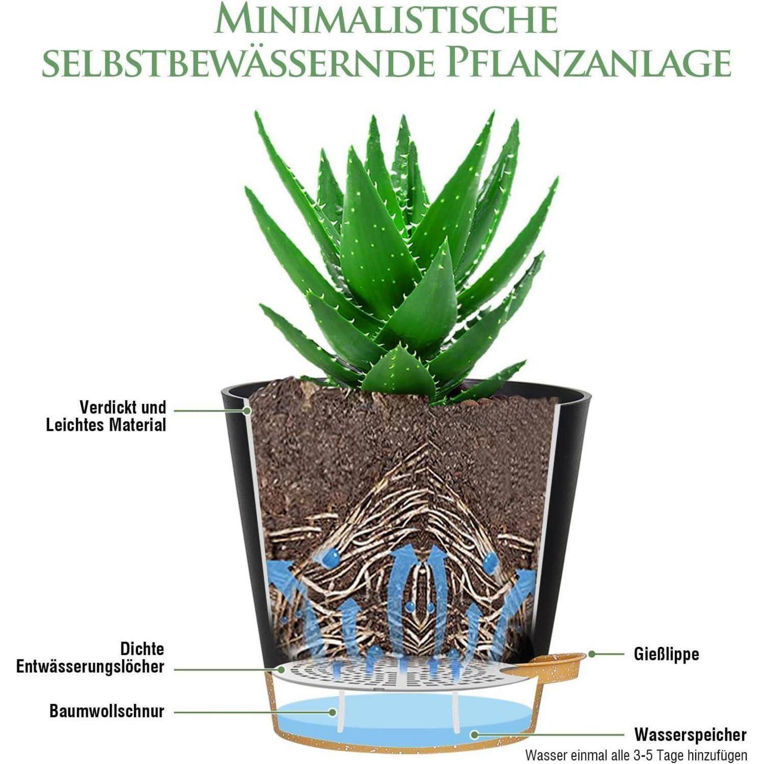 Eine Darstellung eines minimalistischen Selbstbewässerungssystems für eine Aloe-Pflanze. Beschriftungen zeigen Wasserspeicher, Bewässerungstrichter, Docht, dichte Drainageschicht und leichtes Material.