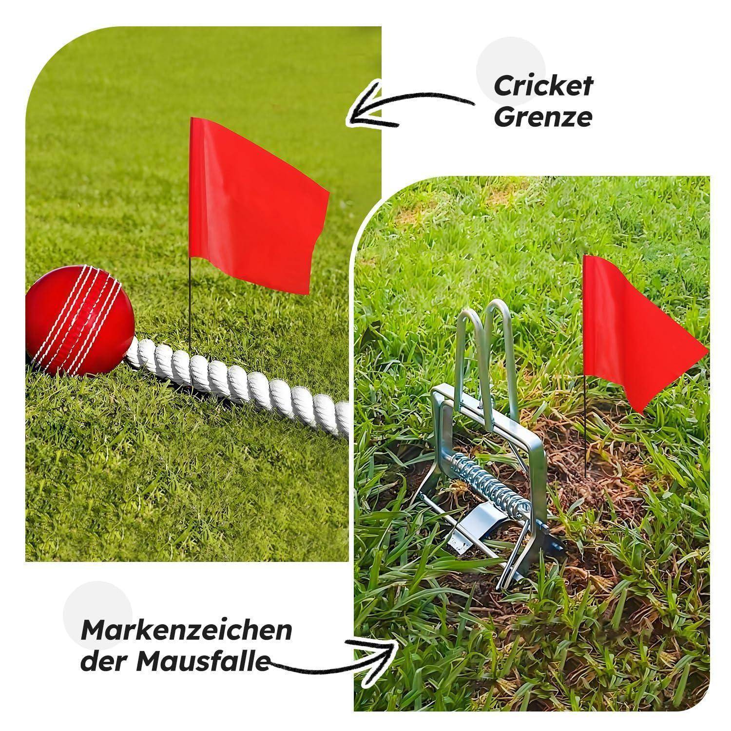 Ein Cricketball in der Nähe eines Grenzzauns, der mit einer roten Flagge markiert ist, und ein Gerät mit einer roten Flagge, die mit „Markenzeichen der Mausefalle