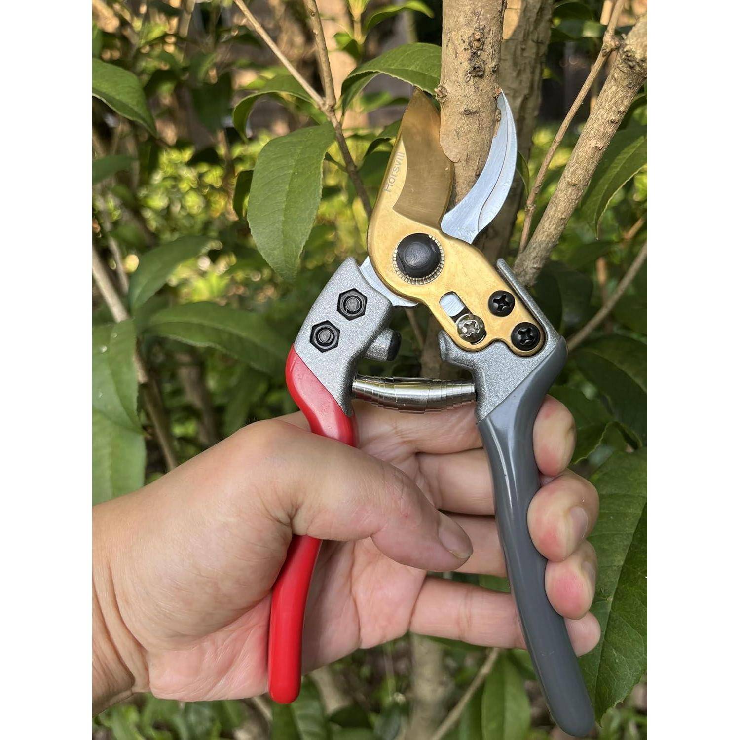 Hand, die Gartenscheren hält und einen Ast eines belaubten Strauchs beschneidet.