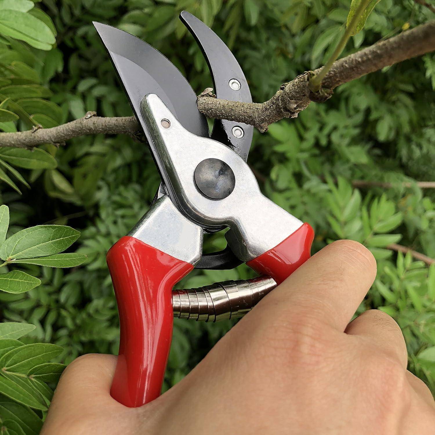 Eine Hand, die rote Gartenscheren hält und einen kleinen Ast zwischen dichten grünen Blättern abschneidet, was Gartenarbeit oder Pflanzenpflege veranschaulicht.