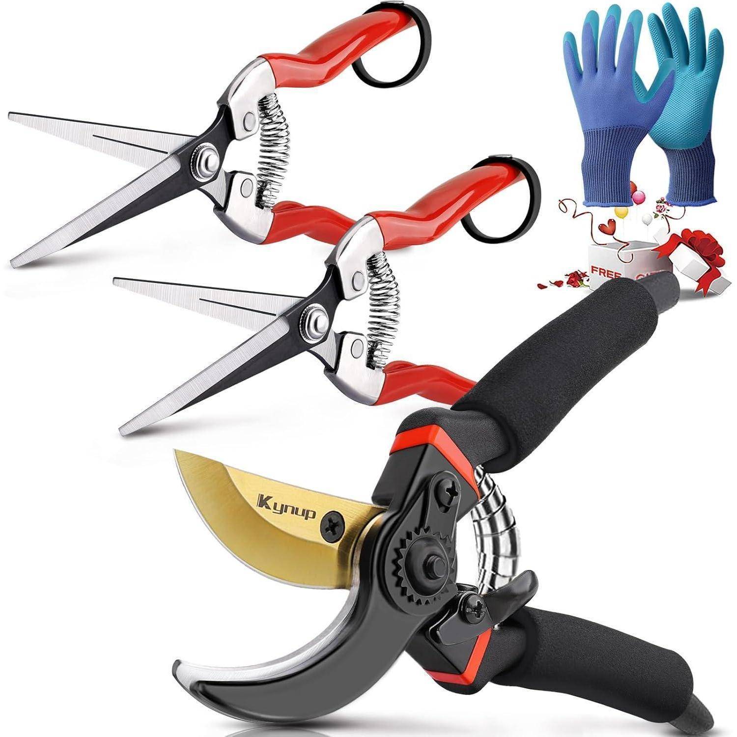 Gartenscheren- und Handschuh-Set abgebildet; umfasst rot-griffe Zischschere und gold-beschichtete Gartenscheren mit blauen Schutzhandschuhen.