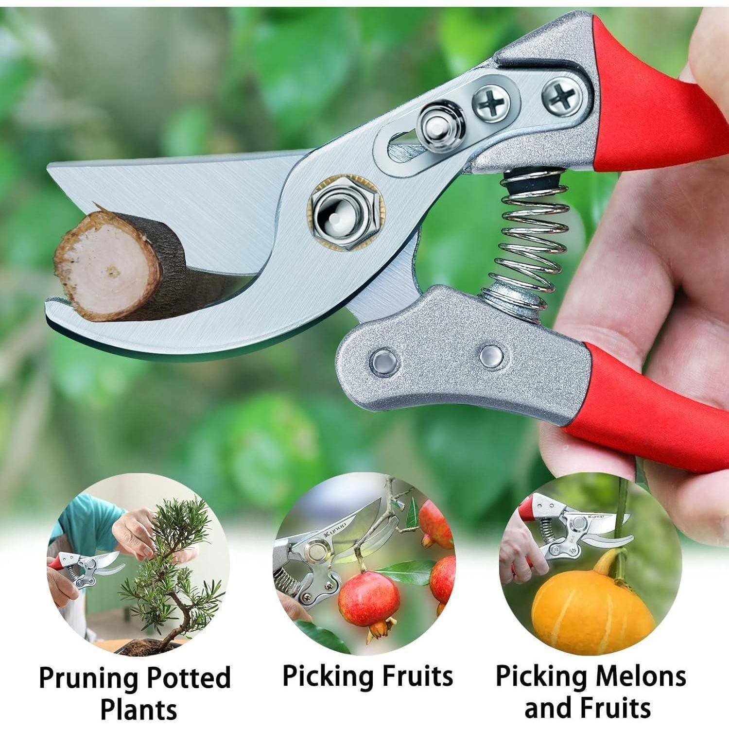 Gartenschere schneidet einen Ast, mit drei runden Bildern darunter: Kübelpflanzen schneiden, Früchte pflücken, Melonen und Früchte ernten.