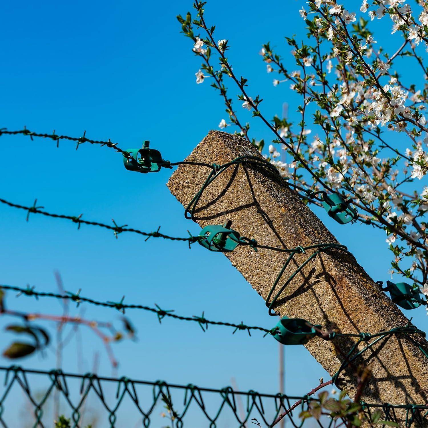 Ein Betonpfahl, umwickelt mit Stacheldraht, mit blühenden Zweigen im Hintergrund, vor einem klaren blauen Himmel, der Kontrast und Spannung vermittelt.