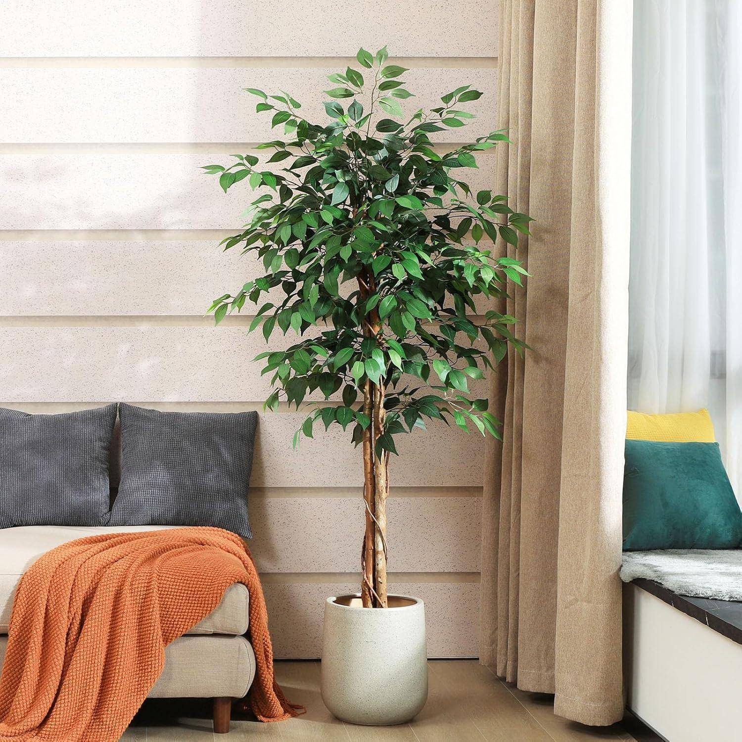 Ein Wohnzimmer mit einer hohen Topfpflanze neben einem grauen Sofa, das mit einer orangefarbenen Decke und grauen Kissen geschmückt ist, in der Nähe von beigen Vorhängen.