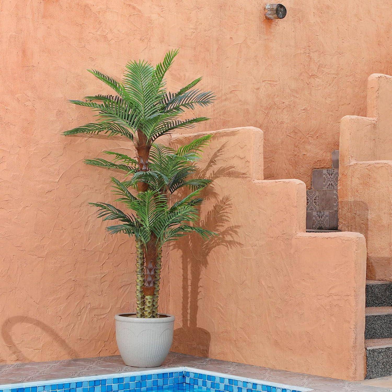 Eine Palme im Topf steht auf einer gefliesten Terrasse vor einer strukturierten, lachsfarbenen Wand, neben der Treppen nach oben führen.