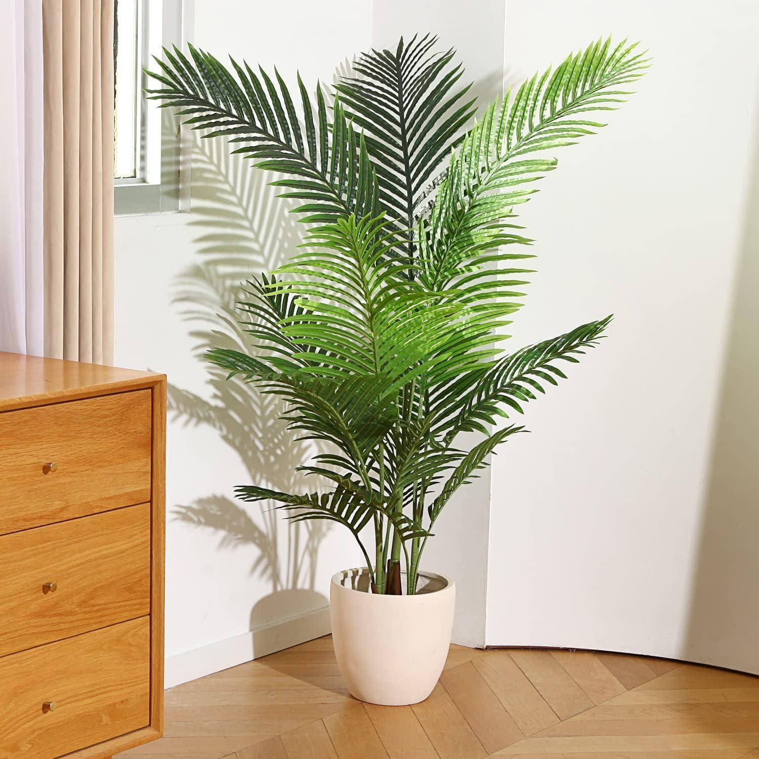 Eine hohe Palme in einem Topf neben einer Holzkommode und einem Fenster, die einen Schatten an die Wand wirft, in einem sonnendurchfluteten Raum.