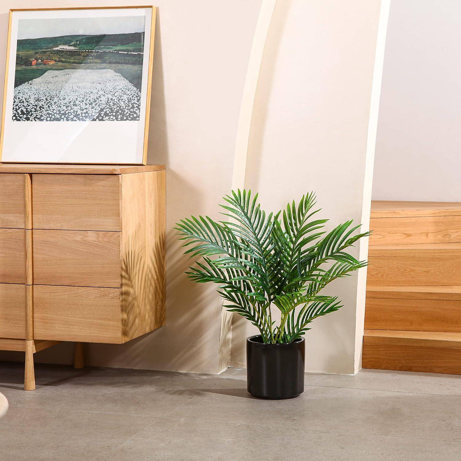 Eine Holzkommode mit einem gerahmten Landschaftsfoto oben steht neben einer topfbepflanzten grünen Pflanze vor einer hellen Wand und Holzmöbeln.