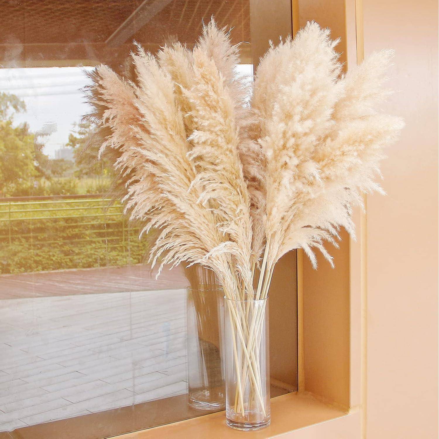 Eine Vase mit weißem Pampasgras auf einem Fenstersims, eingefangen im weichen natürlichen Licht, mit Blick auf Grünflächen draußen.